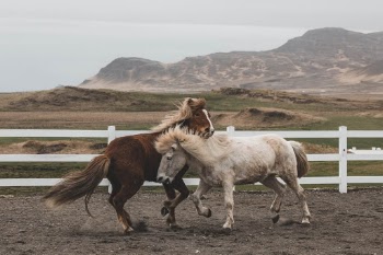 Unsplash ID JvgiyRGv4T4