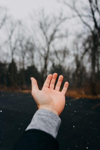 Unsplash ID JW_fdrHQYTU