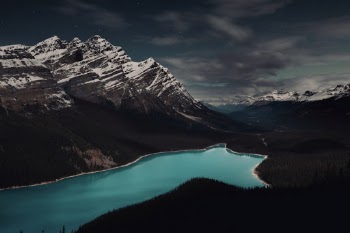 Unsplash ID jWskS_wLMDo