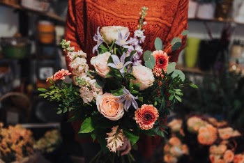 Unsplash ID jy6LXw7obS8