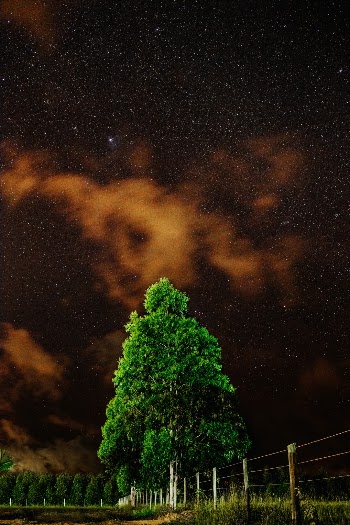 Unsplash ID jyBypGGipvw