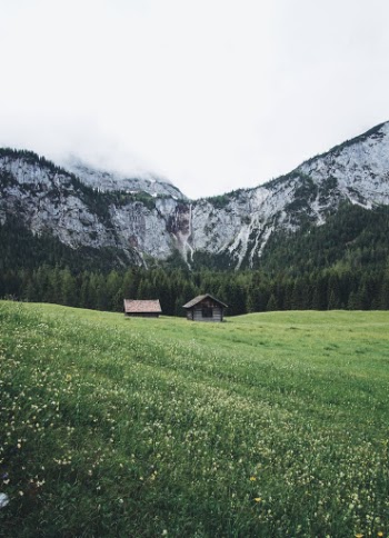 Unsplash ID jynDaAkI0H8