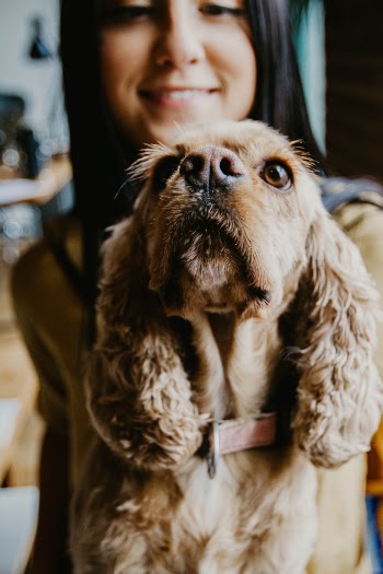 Unsplash ID Jzs9SV0gt1k