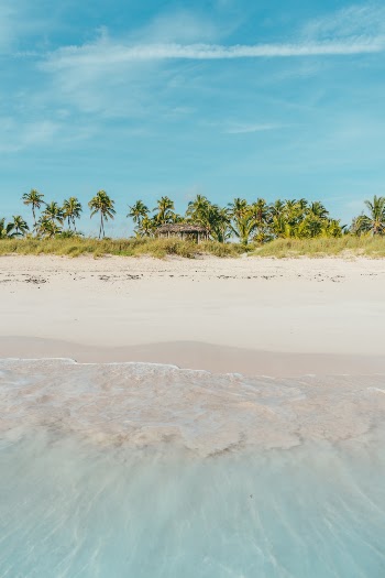 Unsplash ID JzTHJ_QK-98
