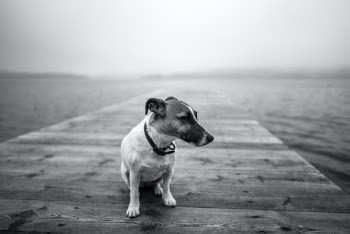 Unsplash ID k2e-qDBUmn0