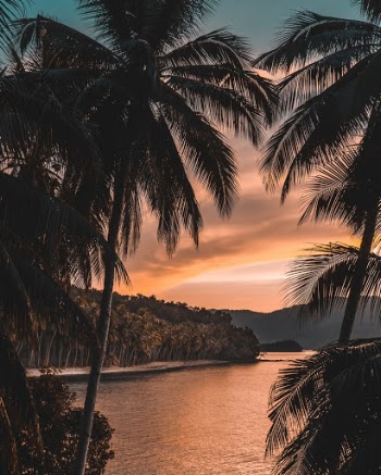 Unsplash ID k2gnEHOM4AM