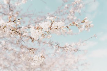Unsplash ID K4YhOR-LYOs