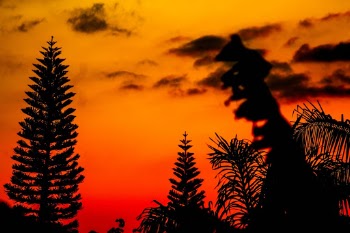 Unsplash ID k6YUvt2WGdI