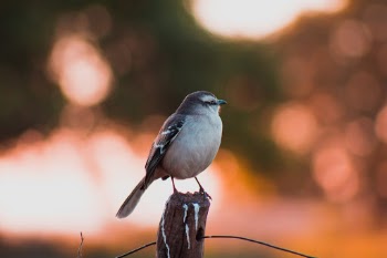 Unsplash ID k9o5NQ69K78