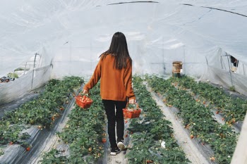 Unsplash ID kafcUPbqqWM