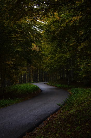 Unsplash ID kBIxA0smqo4