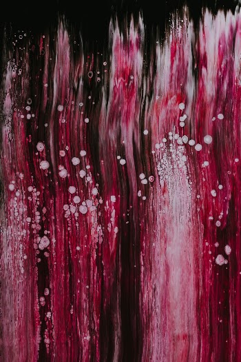 Unsplash ID _KBWc6zzGlk