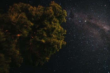 Unsplash ID KceWAWQYois