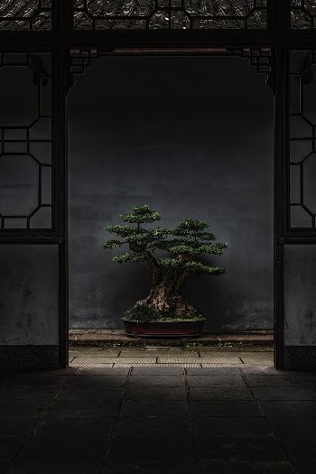Unsplash ID KCnX0ux2jFo