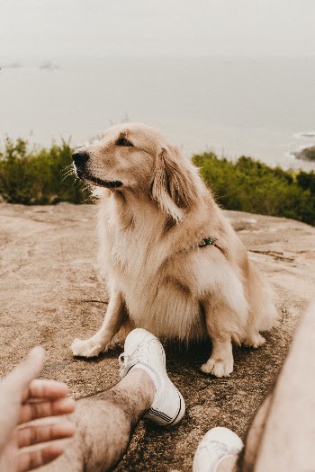 Unsplash ID kcTuZfuSPQg