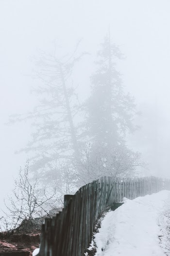 Unsplash ID KDDUPAySVN4