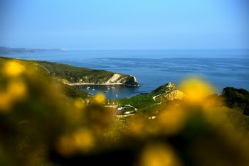 Unsplash ID kdzJlqcdxgI