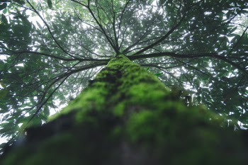Unsplash ID kF21XURqy0o