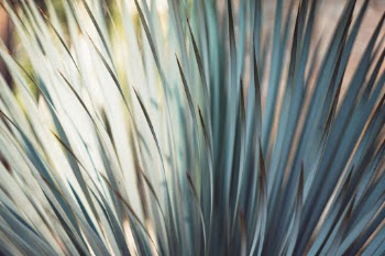 Unsplash ID khdzaEHJoc0