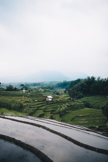 Unsplash ID KHEeGnWNvE8
