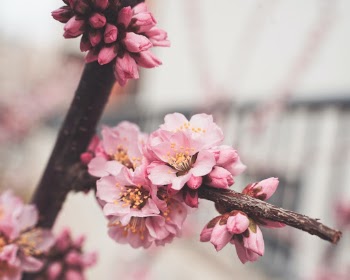 Unsplash ID KhT1rBws7Oo