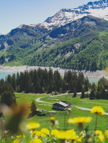 Unsplash ID kiJOCAe9WRc