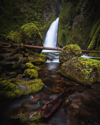 Unsplash ID KjcGq3btPsQ