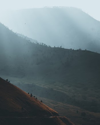 Unsplash ID kJfdwuSQ2RA