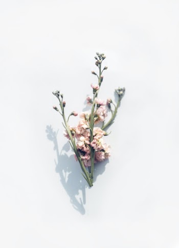 Unsplash ID KlYd4O7CVgY