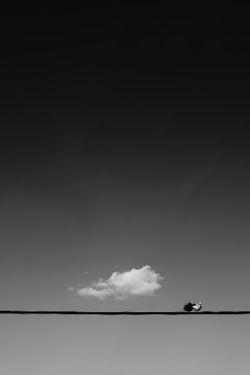 Unsplash ID KndUMm74tc0