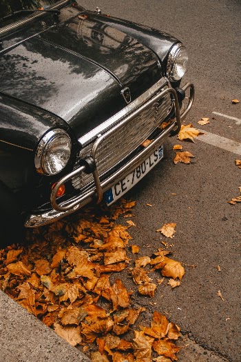 Unsplash ID KnJKGaYwZY0