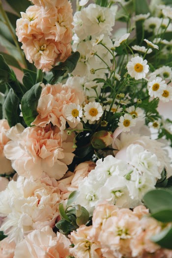 Unsplash ID Ko6XKSsO4w8