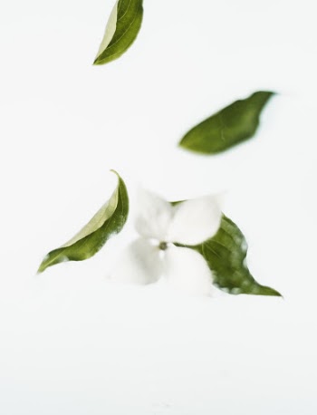 Unsplash ID kP7eZi-75as