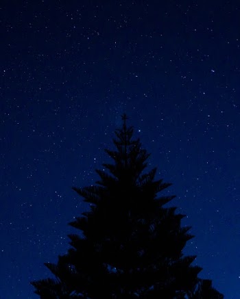 Unsplash ID KPNVqRM86do