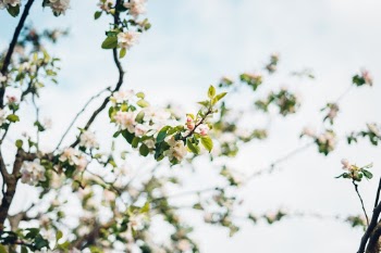 Unsplash ID KTjx3bQdm74