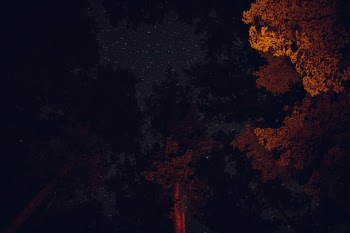 Unsplash ID KvTkCqNp6A8