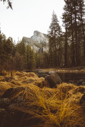 Unsplash ID kvvb6DFeFI8