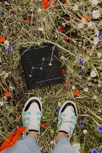 Unsplash ID kWGCxs7zcEU