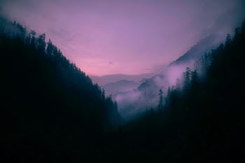Unsplash ID KwuCjQHD3YM