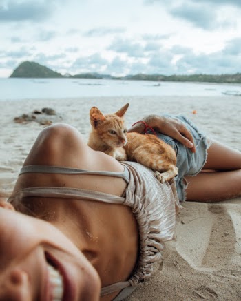Unsplash ID kxHXqVjMHGo