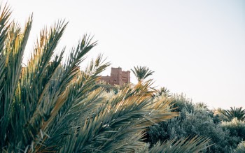 Unsplash ID kXlLI02H12A