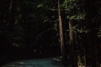 Unsplash ID KYO_SoCbLZM