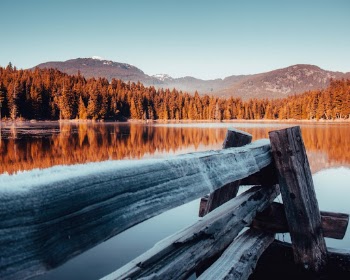 Unsplash ID L_jNTWVI4Ww