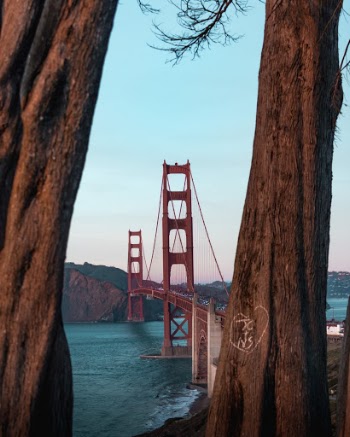 Unsplash ID L1snsJWy9II