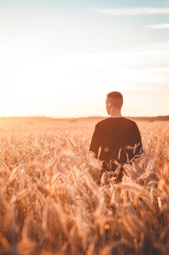 Unsplash ID l2eELqmEu5Y
