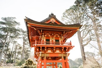 Unsplash ID l2xX8sBEX_0