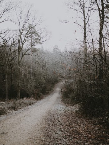 Unsplash ID _L3WyzKRD6U
