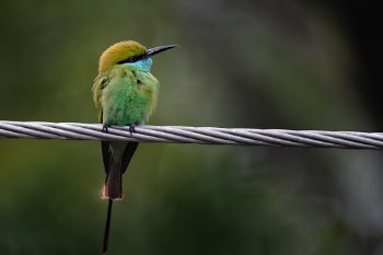 Unsplash ID L4hg5o67jdw