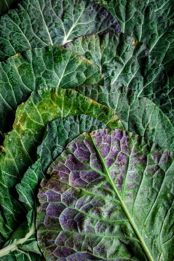 Unsplash ID L5yqGpqQd4I