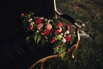 Unsplash ID L6W0IPXrbxA